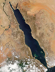 red sea c